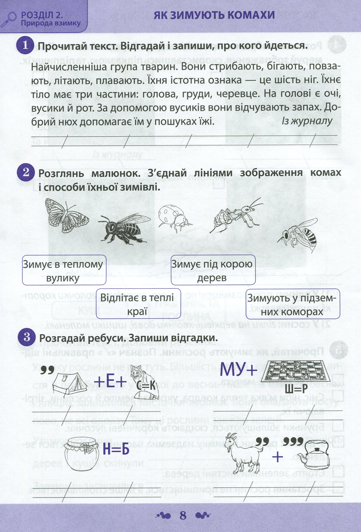 Я досліджую світ. 2 клас. Робочий зошит у 2-х частинах. Ч.2 — фото 7