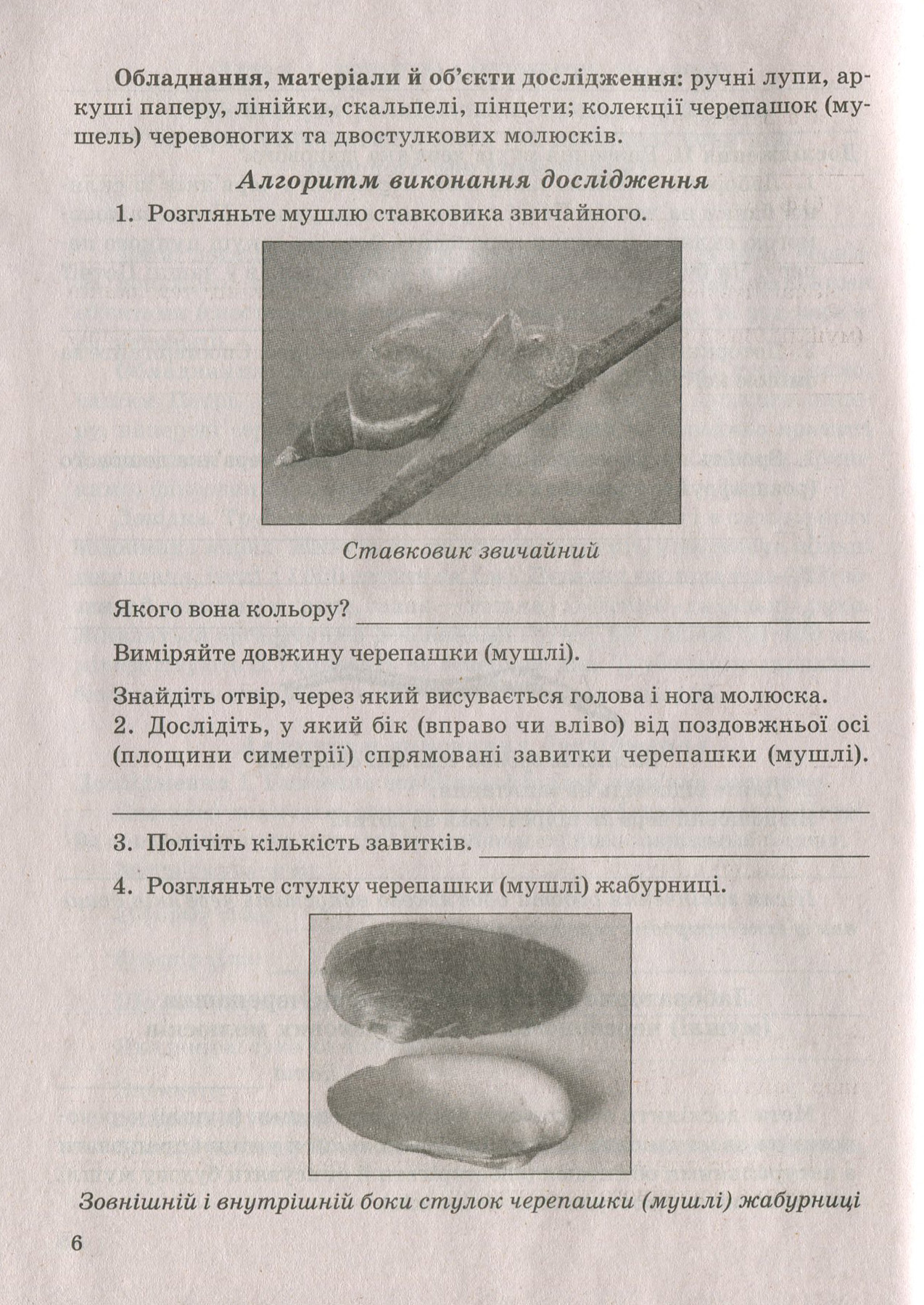 [object Object] «Біологія. 7 клас. Зошит для практичних робіт, лабораторних досліджень і міні-проектів», автор Тамара Сало - фото №6 - миниатюра