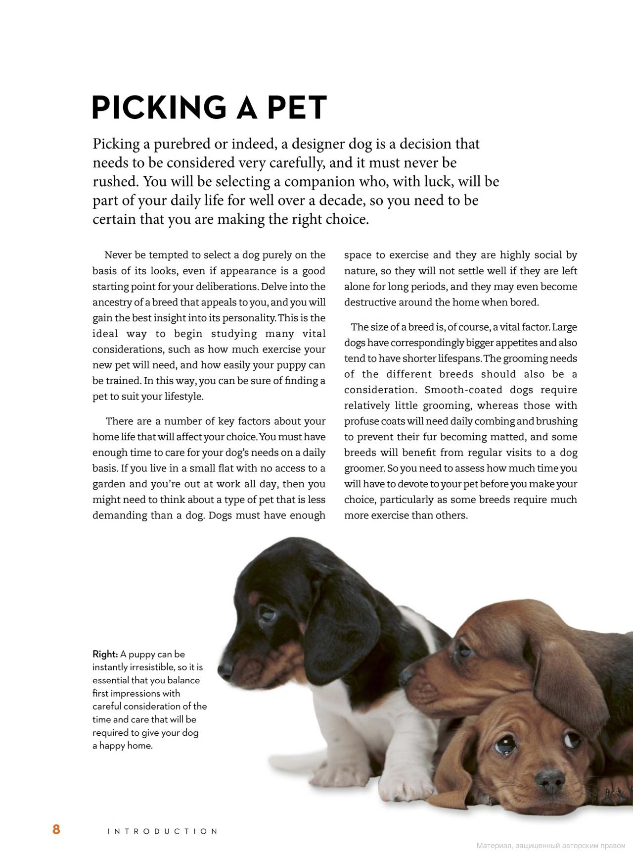 [object Object] «The Right Dog for You. How to choose the perfect breed for you and your family», автор Девід Олдертон - фото №6 - мініатюра
