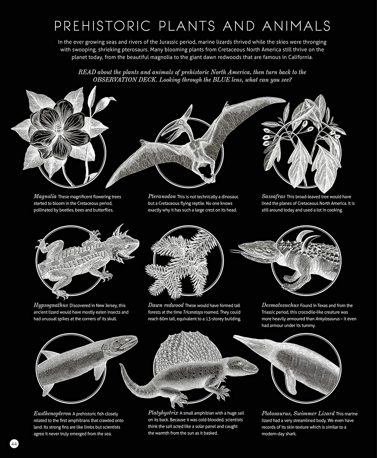 [object Object] «Illumisaurus. Explore the world of dinosaurs with your magic three colour lens», автор Люси Браунридж - фото №6 - миниатюра