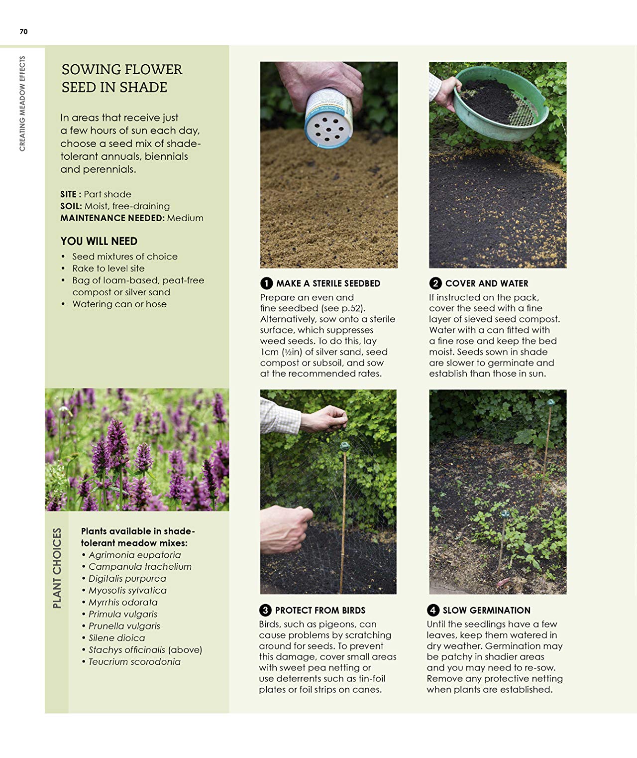 [object Object] «New Wild Garden. Natural-style planting and practicalities», автор Иэн Ходжсон - фото №6 - миниатюра