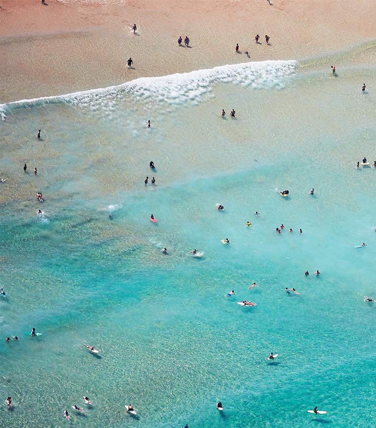 [object Object] «Places We Swim in Sydney», авторов Диллон Сейчик-Рирдон, Кэролайн Клементс - фото №6 - миниатюра