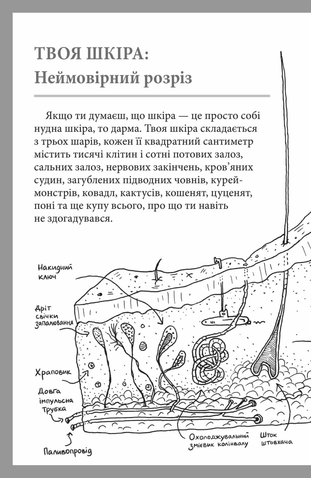 [object Object] «Що це за орган? Дурнуватий довідник з анатомії твого тіла», автор Энди Гриффитс - фото №6 - миниатюра