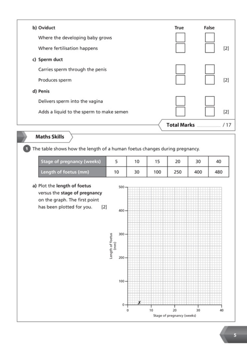 [object Object] «KS3 Science Year 7 Workbook» - фото №5 - миниатюра