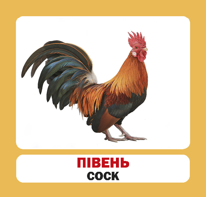 [object Object] «Домашні тварини. Набір карток» - фото №6 - миниатюра
