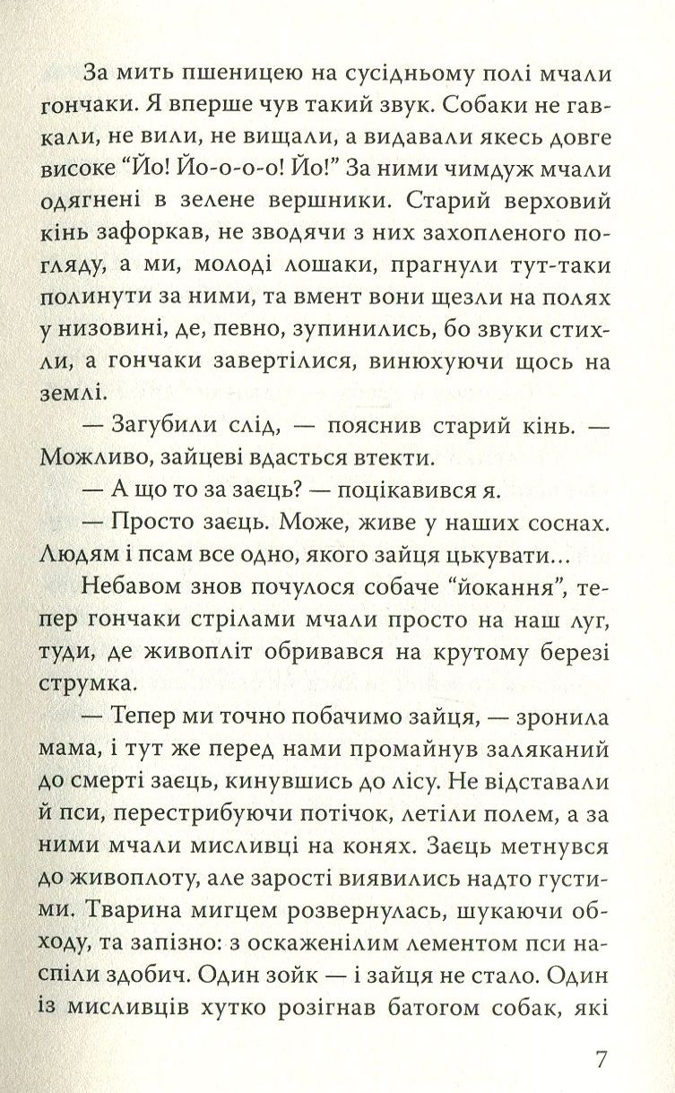 Чорний Красень — фото 7