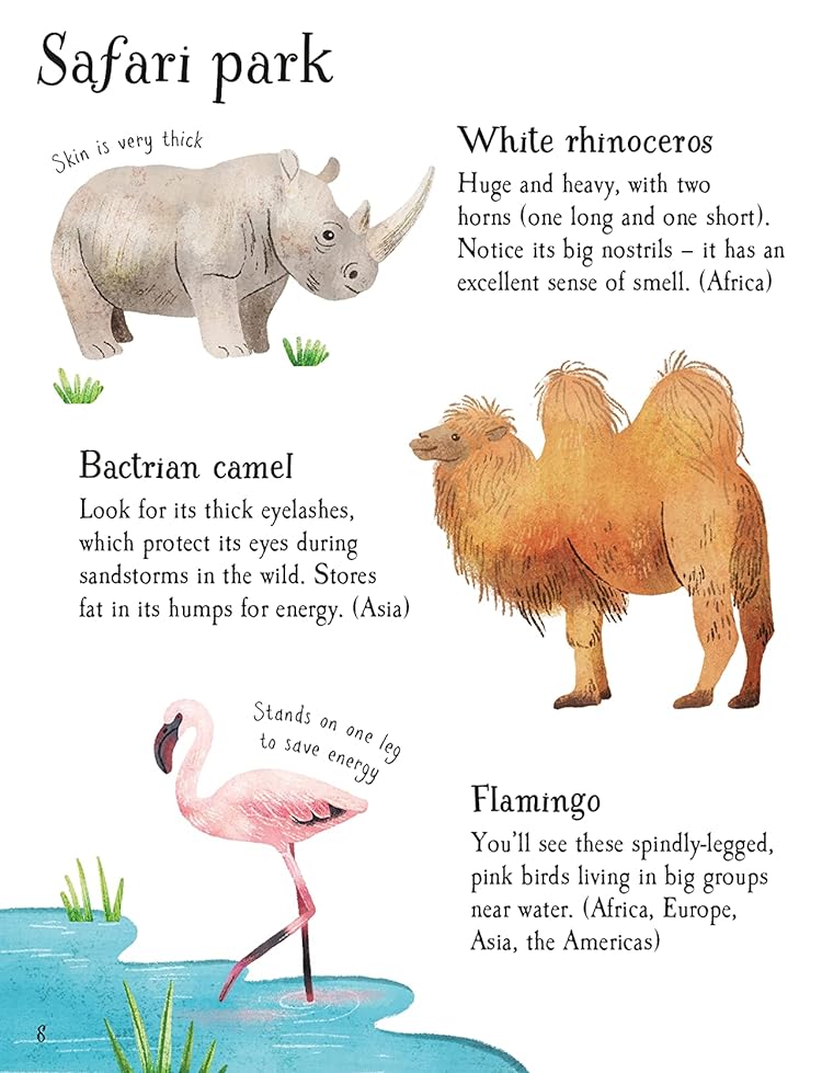 [object Object] «Zoo Animals to Spot», автор Кейт Нолан - фото №6 - миниатюра