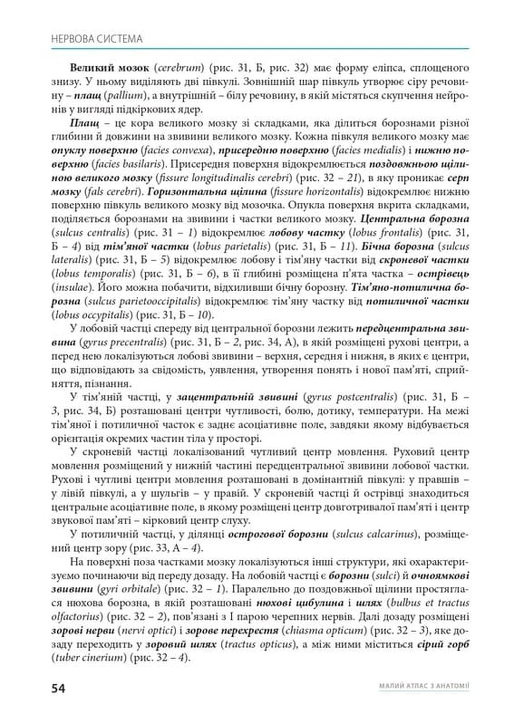 Малий атлас з анатомії — фото 7