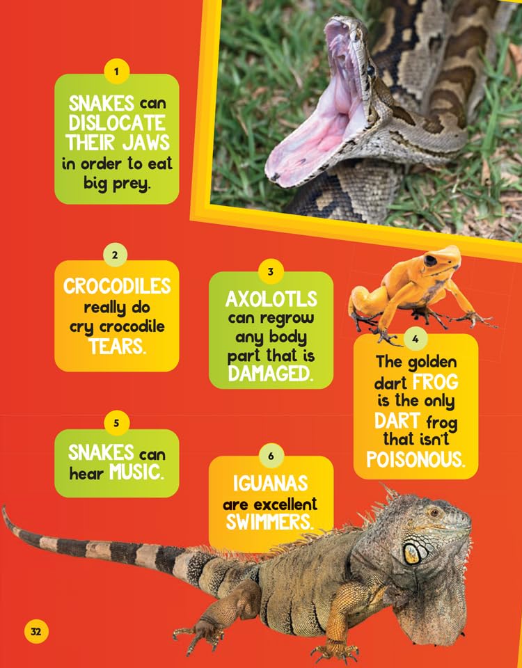 [object Object] «True or False?», автор National Geographic Kids - фото №6 - миниатюра