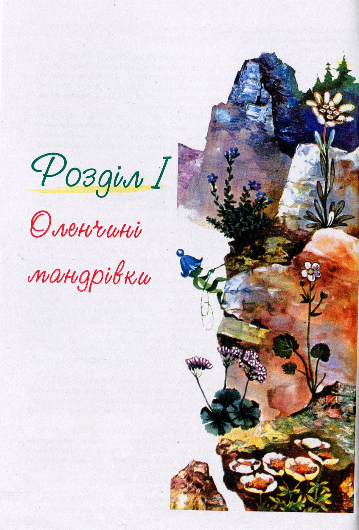 Оленчина ботаніка — фото 8