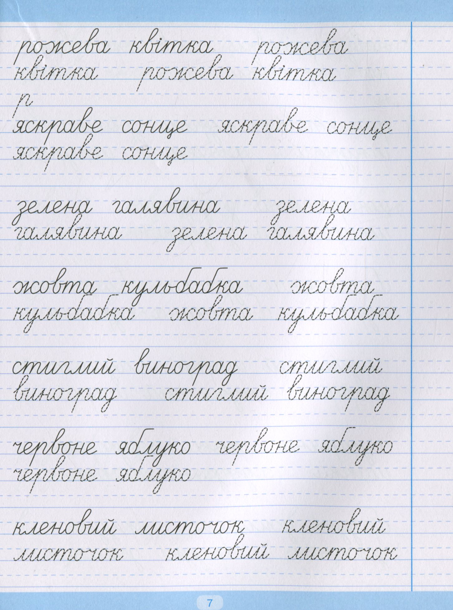 Тренажер для списування речень і текстів. Широка лінійка — фото 8
