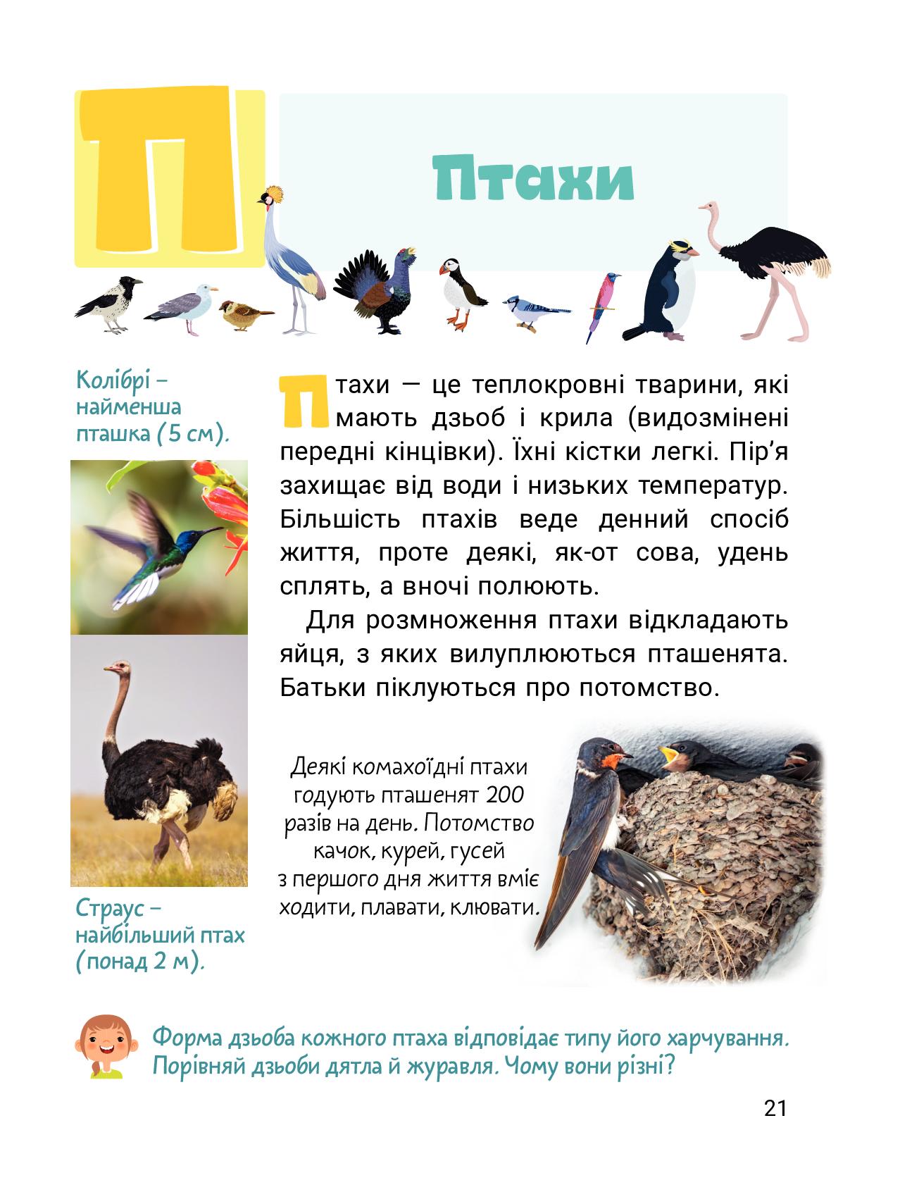Класна абетка. Тварини — фото 8