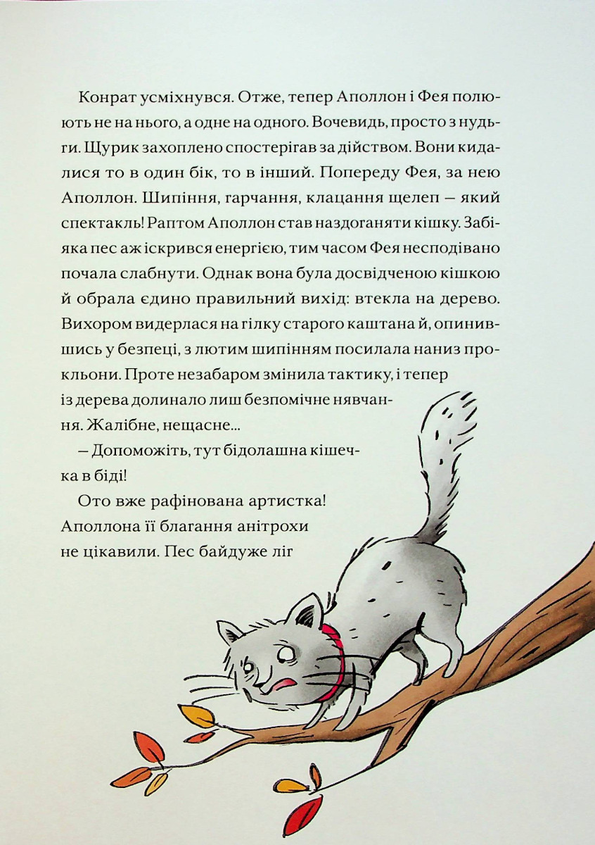 Конрат — супергерой підземелля. Небезпечна ніч — фото 9
