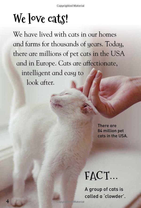 [object Object] «It's all about... Cats and Kittens» - фото №3 - миниатюра