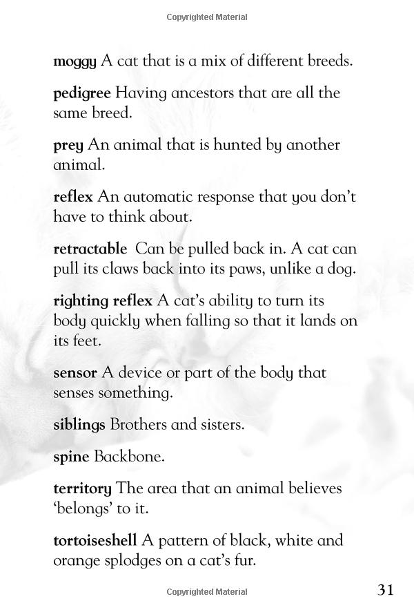 [object Object] «It's all about... Cats and Kittens» - фото №5 - миниатюра