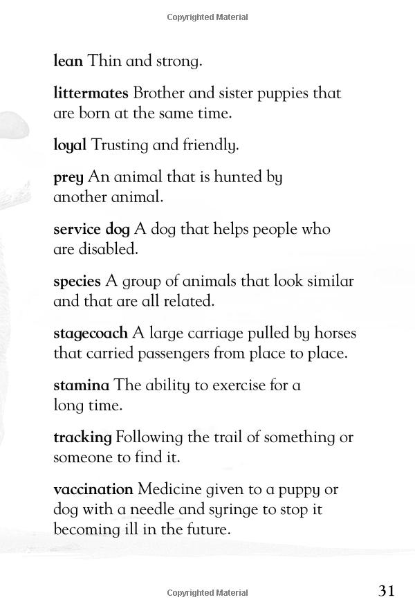 [object Object] «It's all about... Dogs and Puppies» - фото №5 - миниатюра