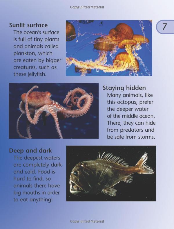 [object Object] «Discover Science: Oceans and Seas», авторів Никола Дэвис, Белінда Вебер - фото №5 - мініатюра