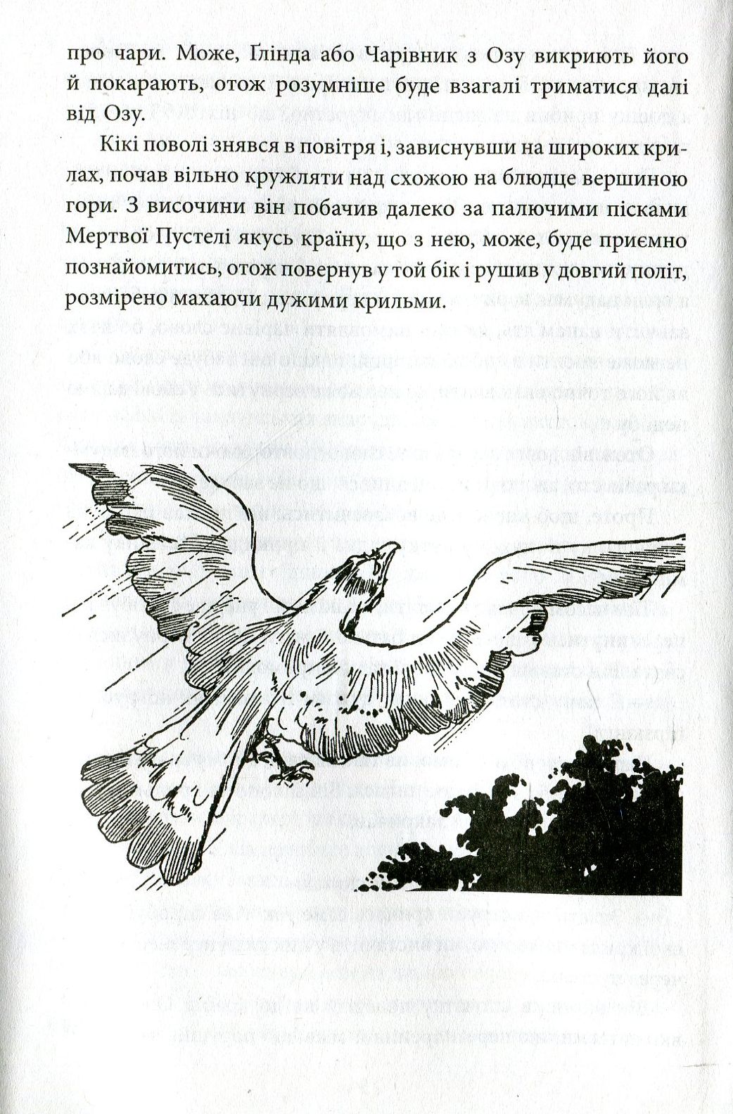 Чари країни Оз — фото 8
