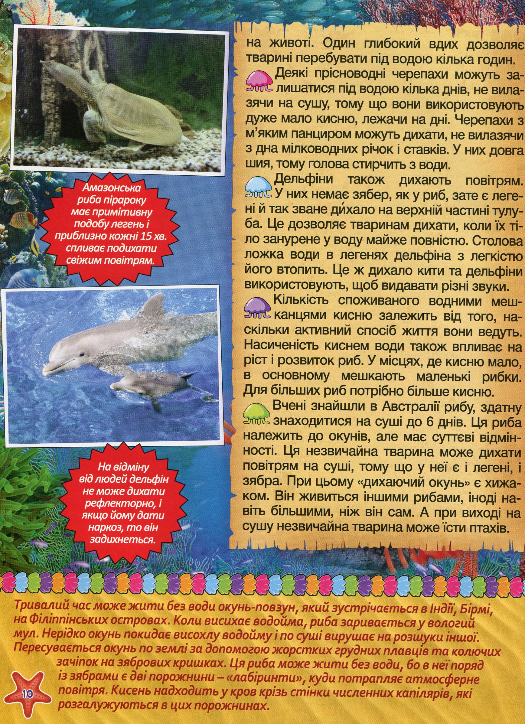 Підводний світ. Велика книга — фото 13