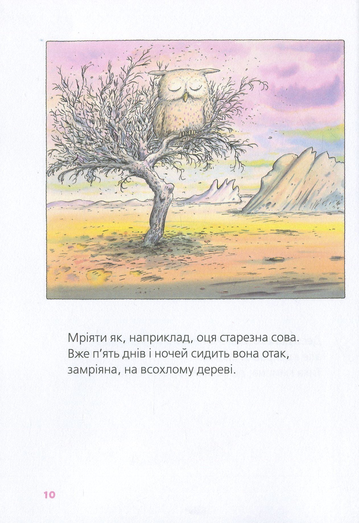 Велика книга про Коко і Кірі — фото 13