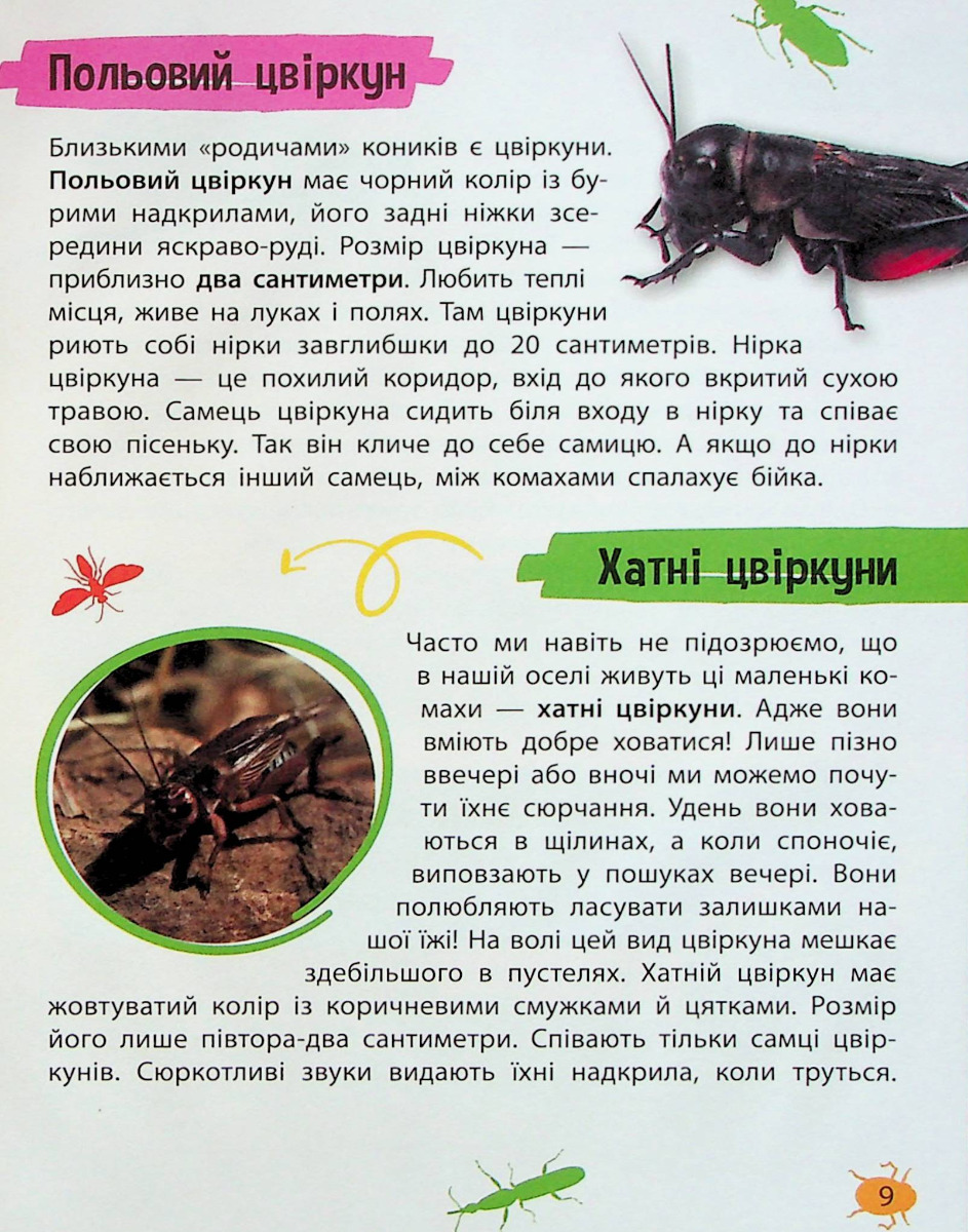 Мініенциклопедія. Комахи та павуки — фото 9