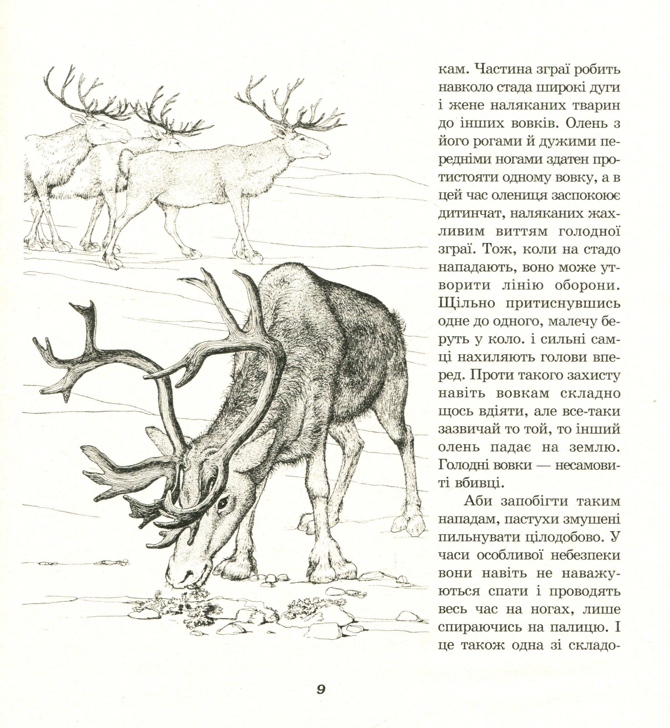 З життя тварин. Книжка для 5-6 класів — фото 9