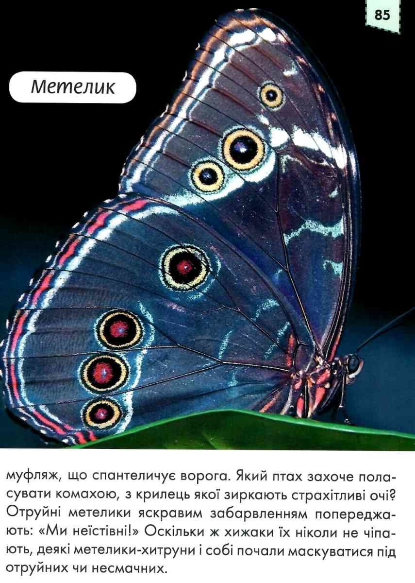 Мами та малюки — фото 10