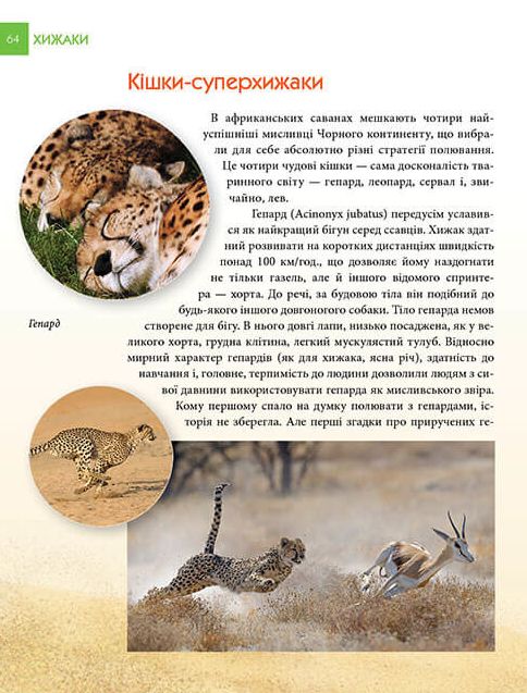 Енциклопедія для допитливих. Хижаки — фото 9