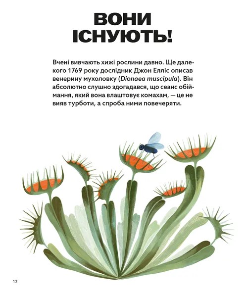 Хто такі хижі рослини? — фото 8