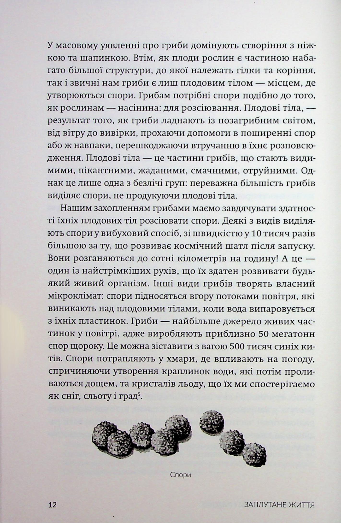 Заплутане життя — фото 10
