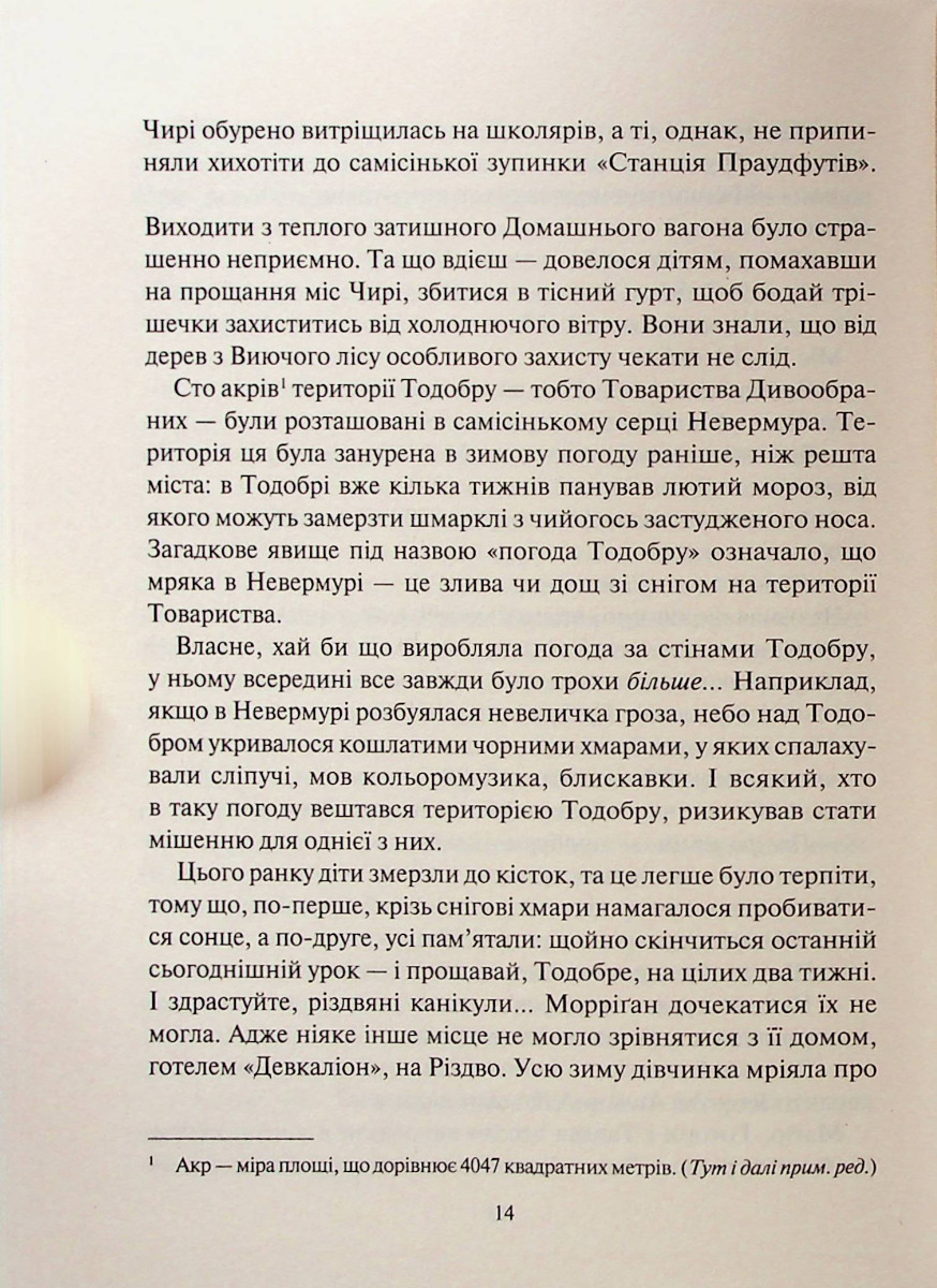 Порожневірус. Полювання на Морріґан Кроу. Книга 3 — фото 10