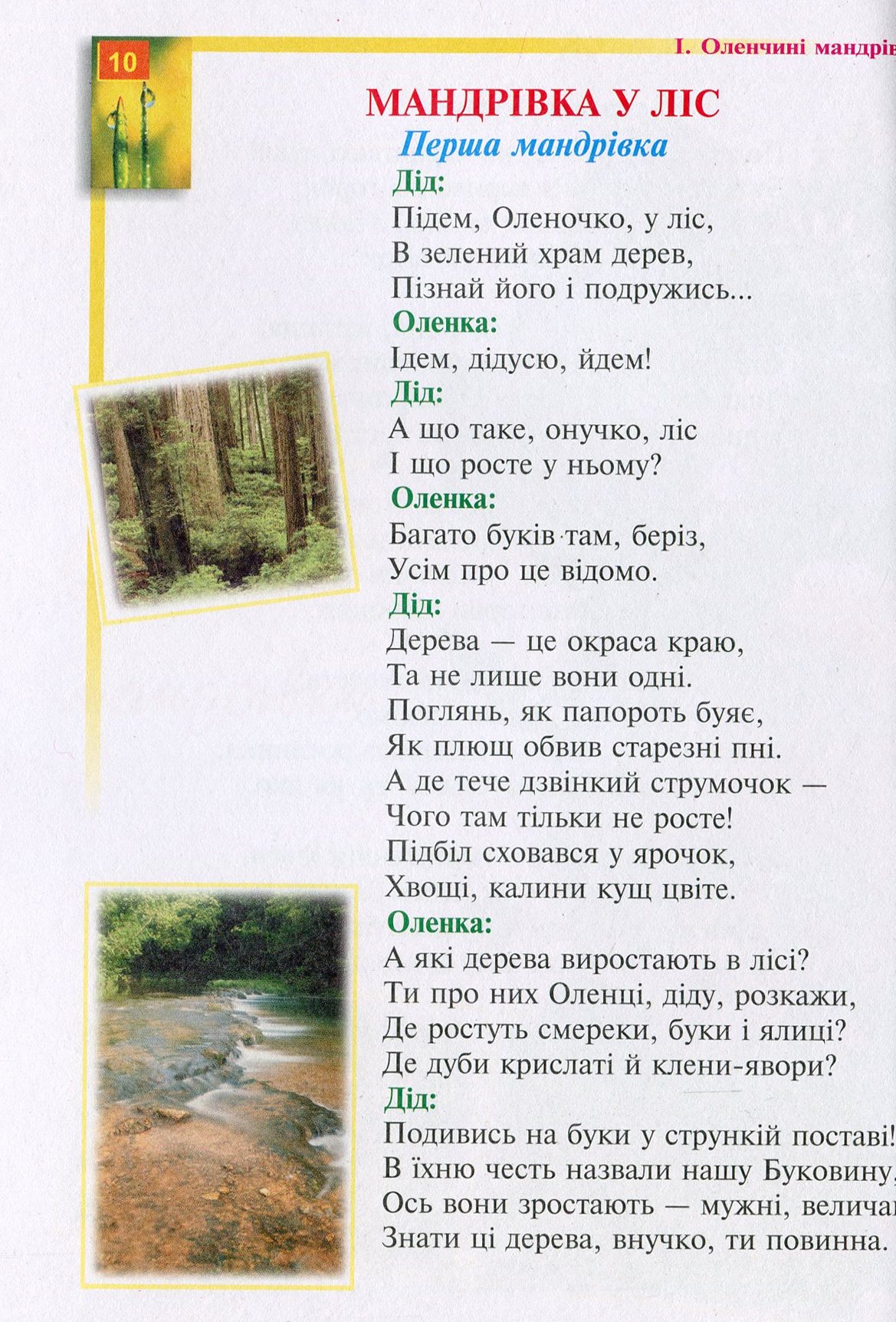 Оленчина ботаніка — фото 10