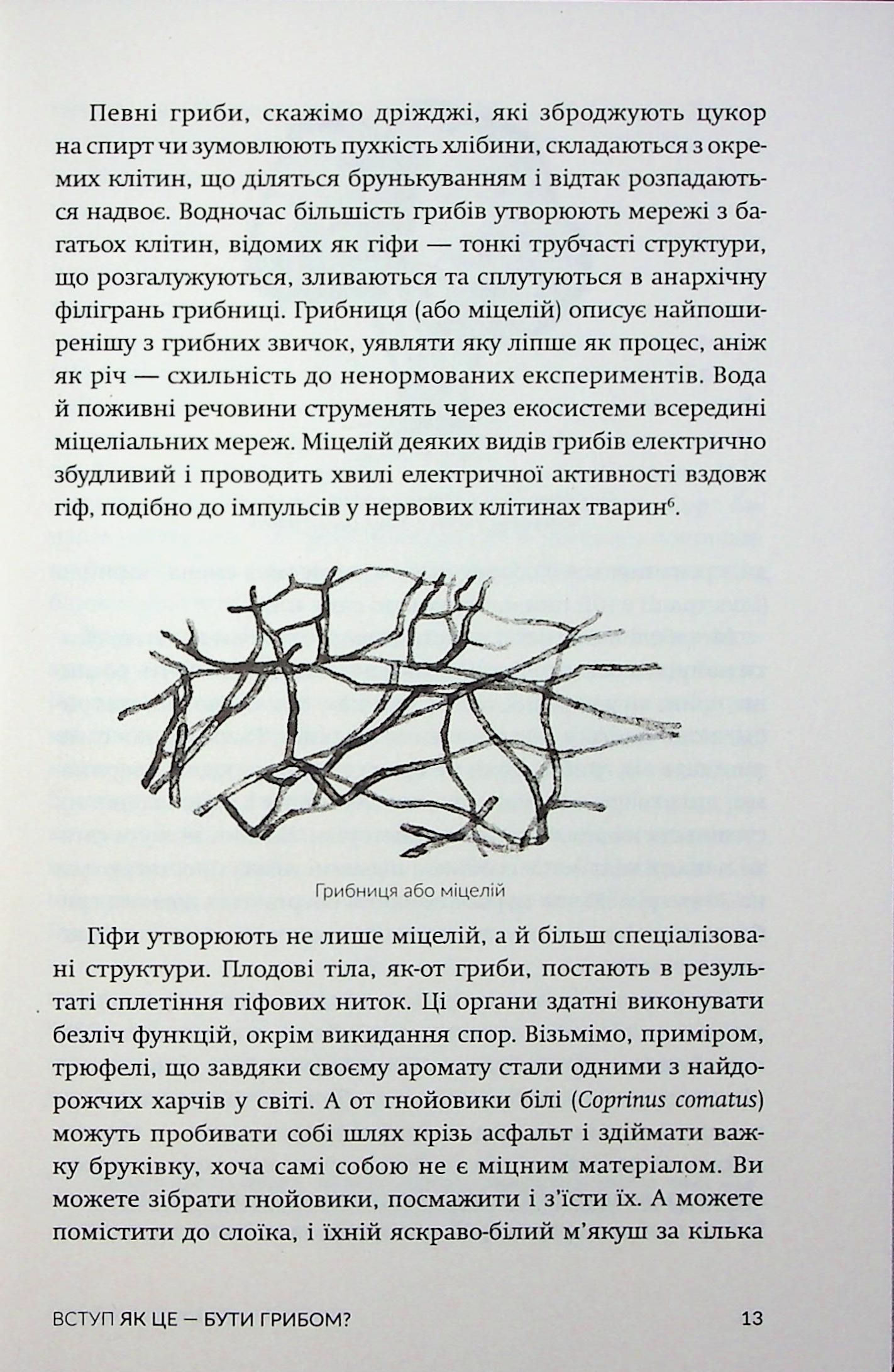 Заплутане життя — фото 11