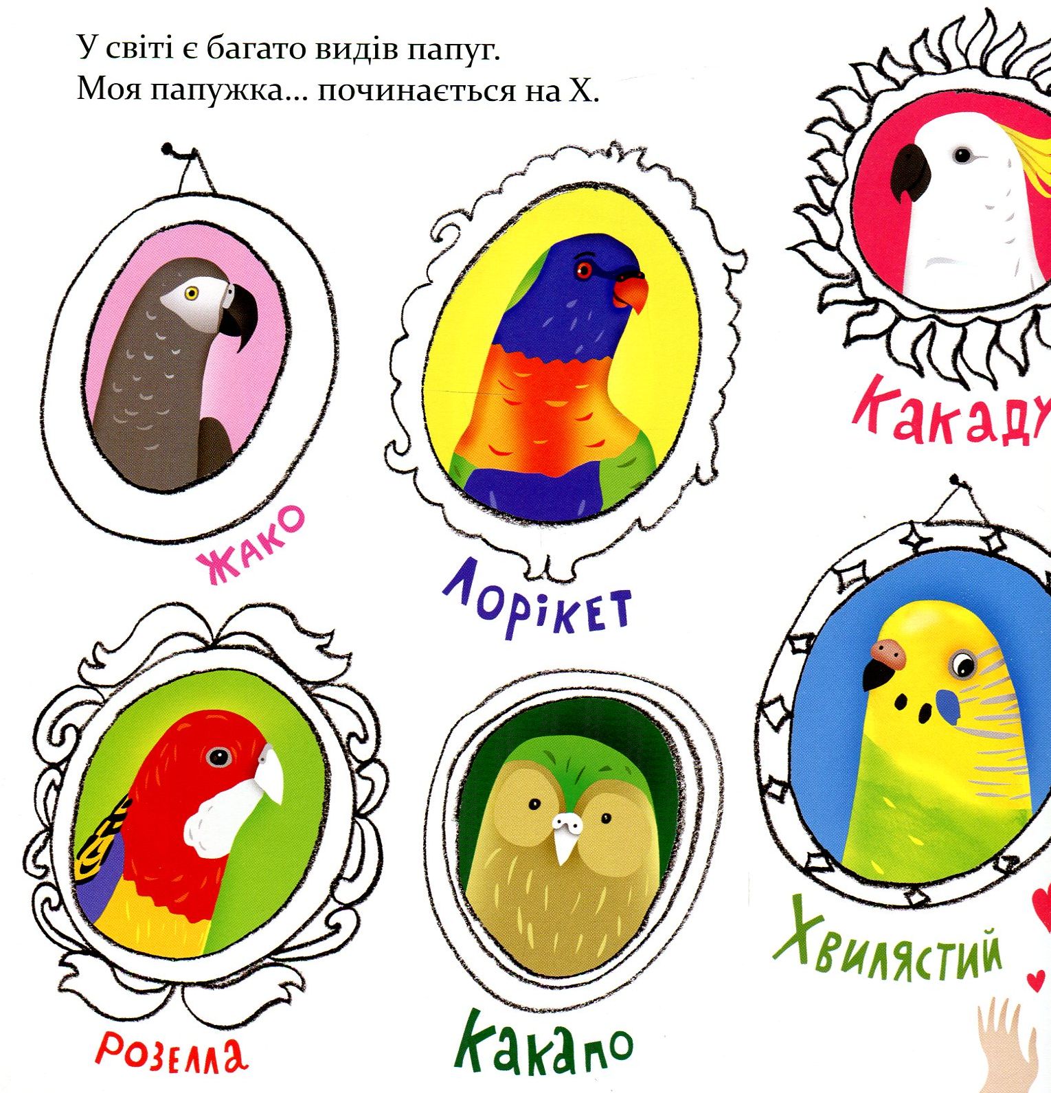 Папужка — фото 10