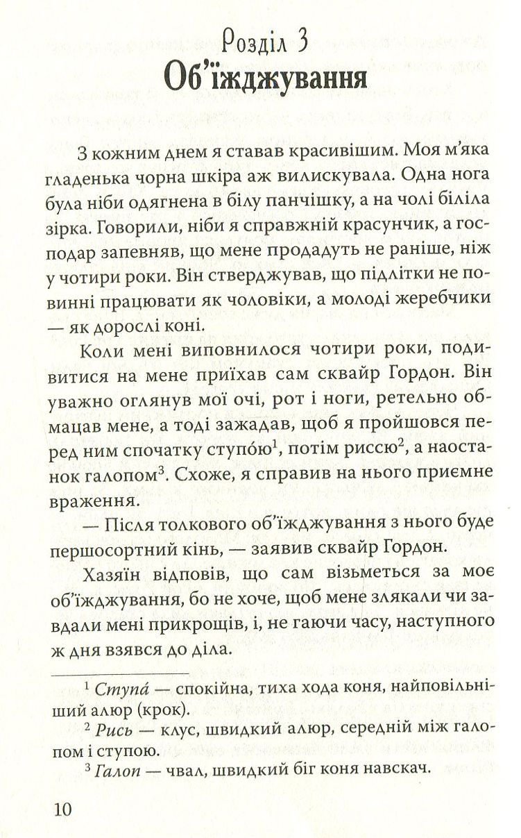 Чорний Красень — фото 10