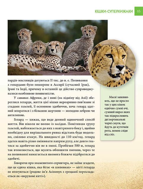 Енциклопедія для допитливих. Хижаки — фото 10