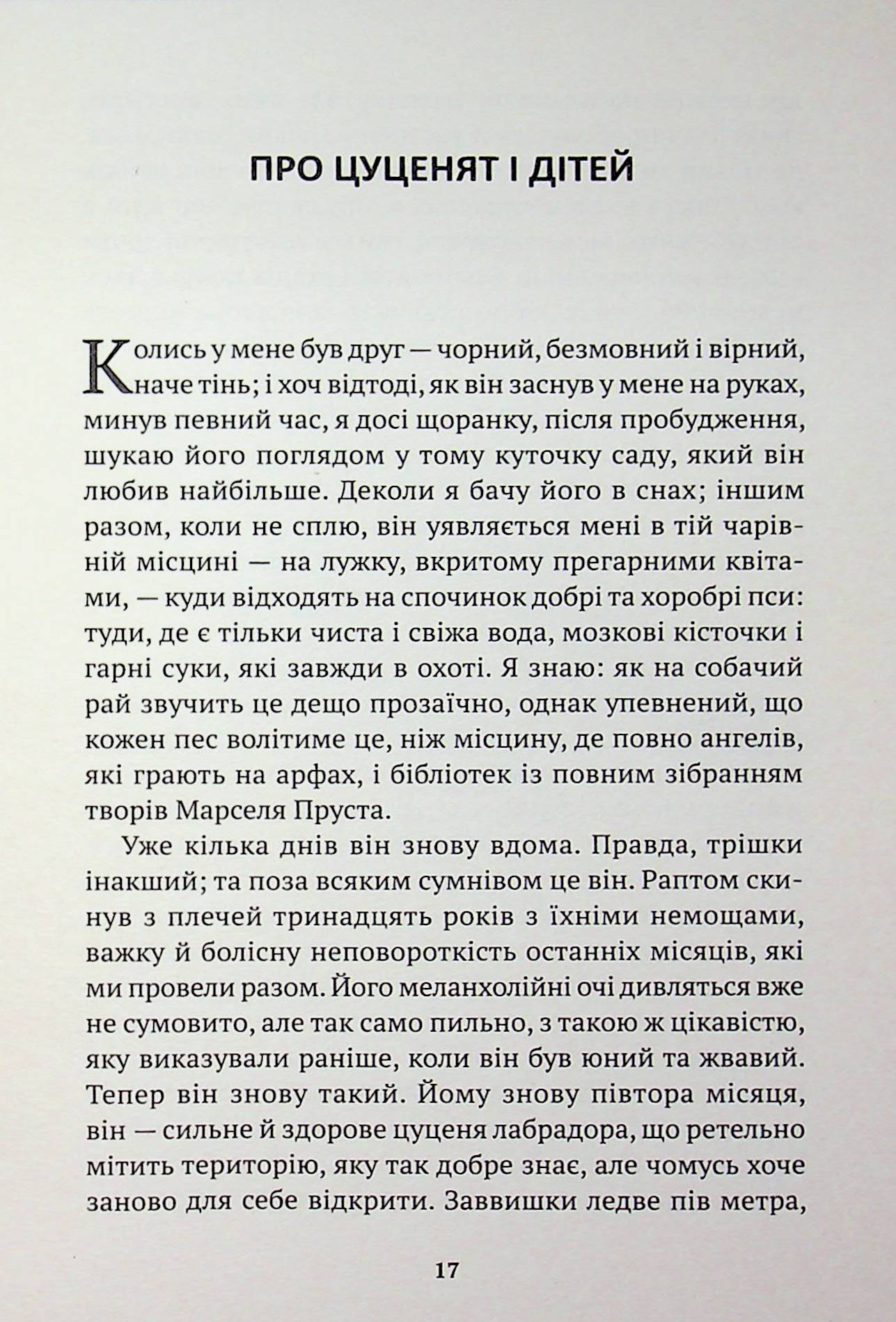Собаки й сучі діти — фото 10