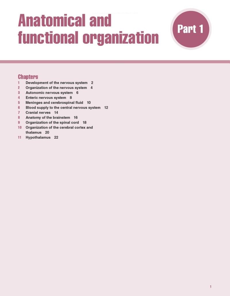 Neuroanatomy and Neuroscience at a Glance — фото 10