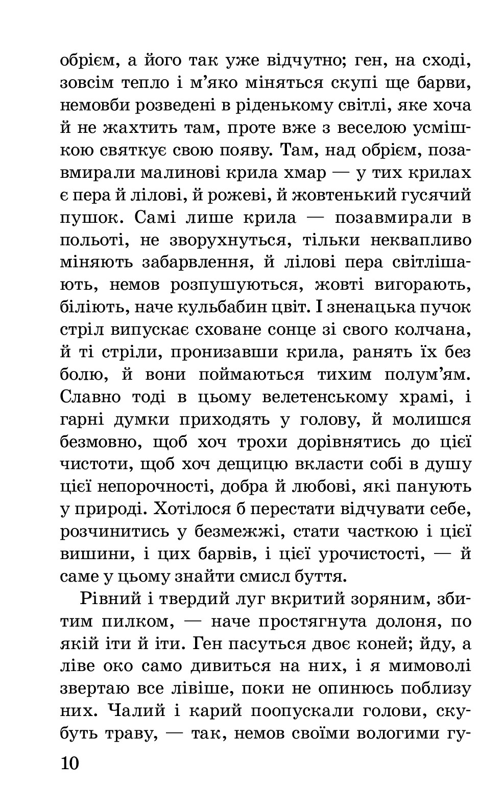 У гаї сонце зацвіло. Оповідання та повісті — фото 11
