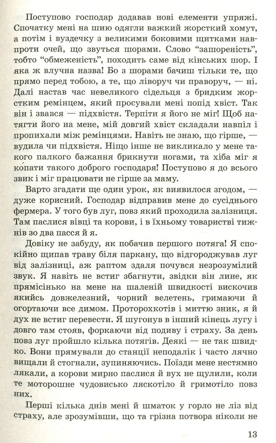 Чорний Красень — фото 11