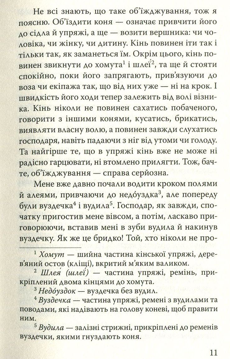 Чорний Красень — фото 11
