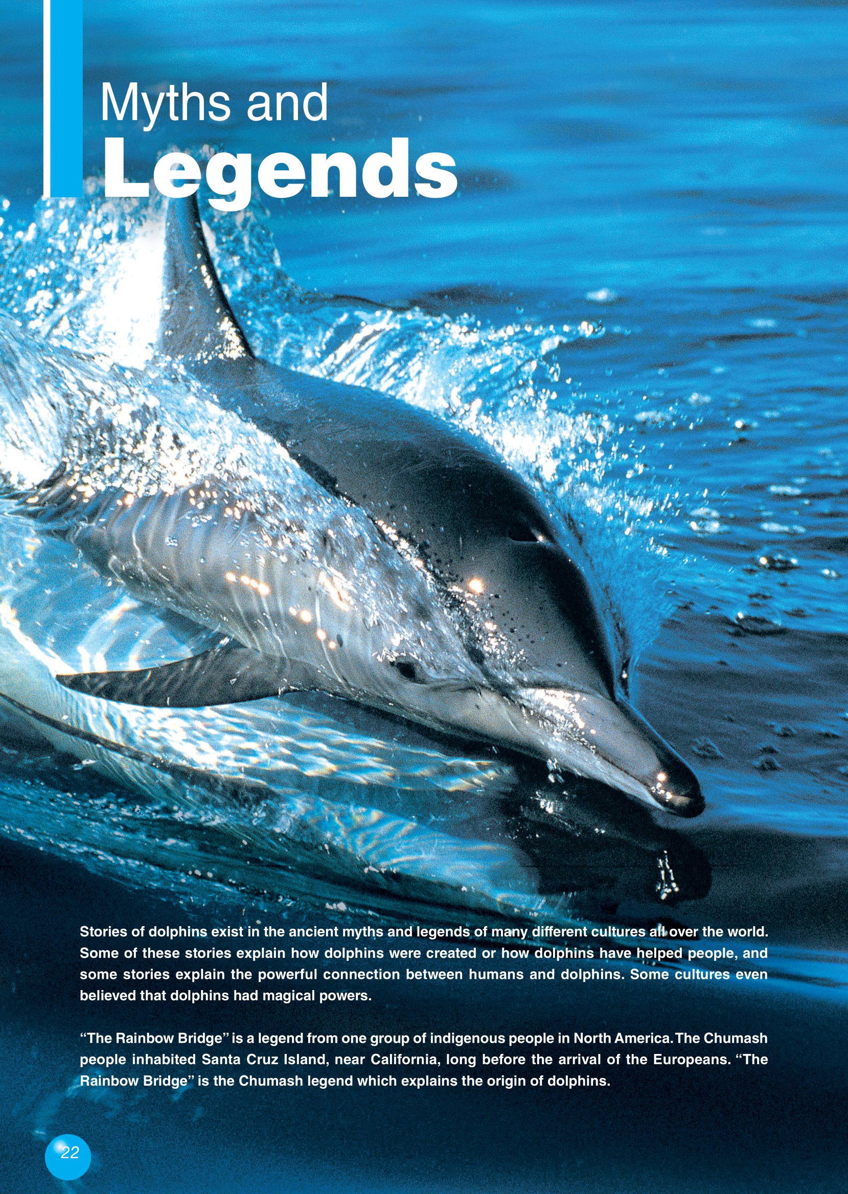 [object Object] «The Bottlenose Dolphin. Reader (with DigiBooks App.)», авторов Вирджиния Эванс, Дженни Дули - фото №4 - миниатюра