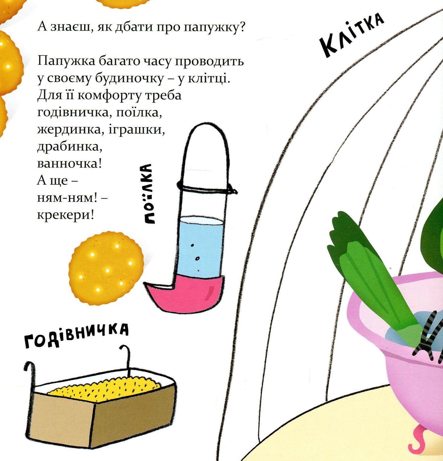 Папужка — фото 12