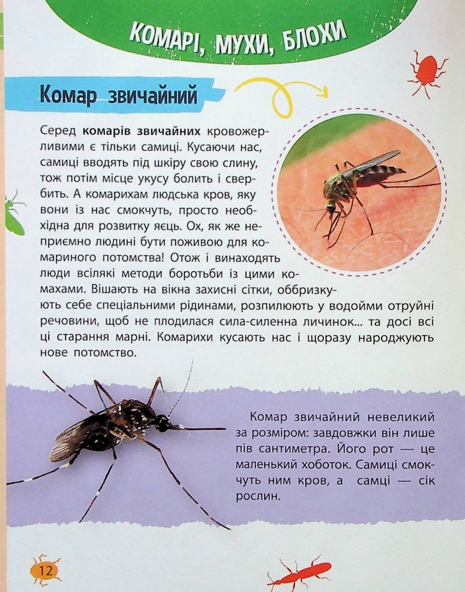 Мініенциклопедія. Комахи та павуки — фото 12