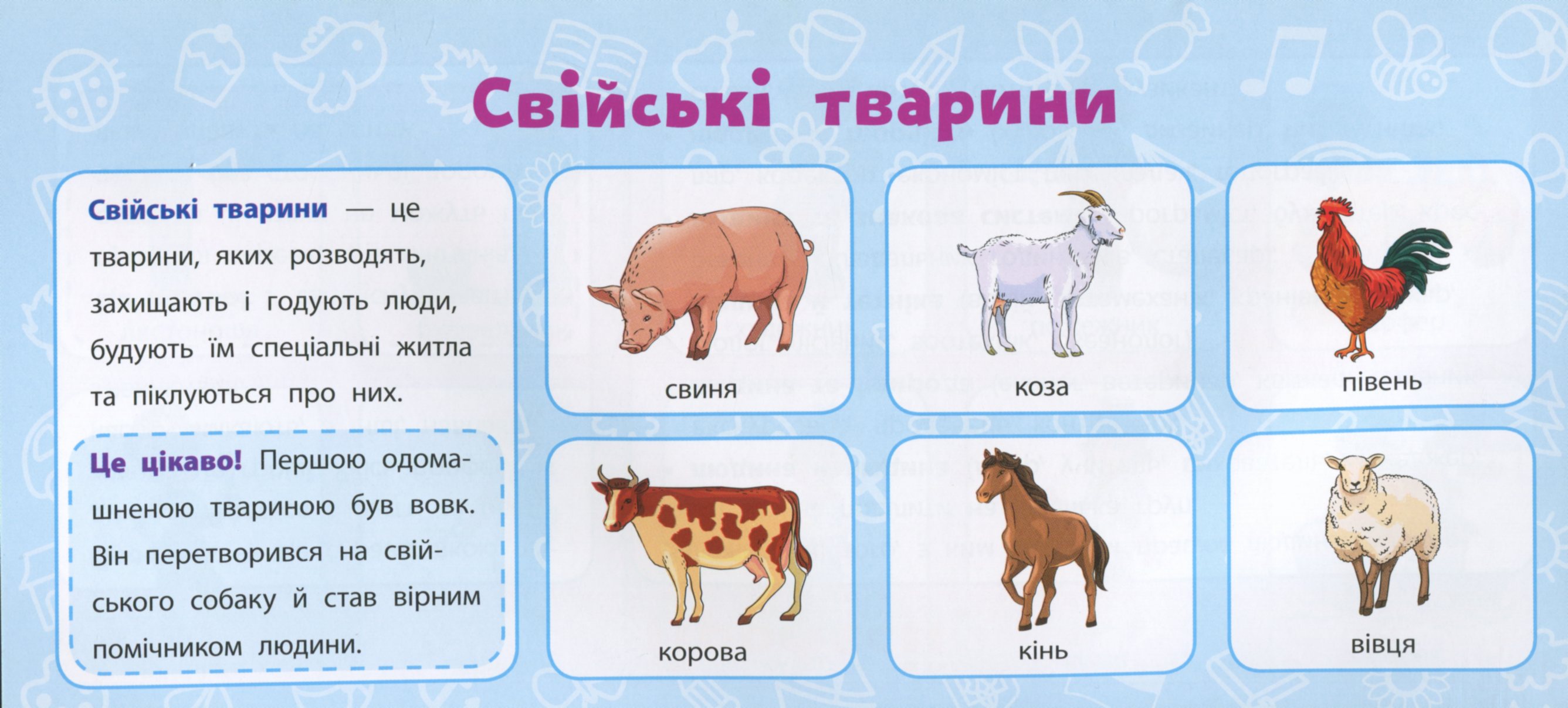 Я досліджую світ. 2 клас — фото 12