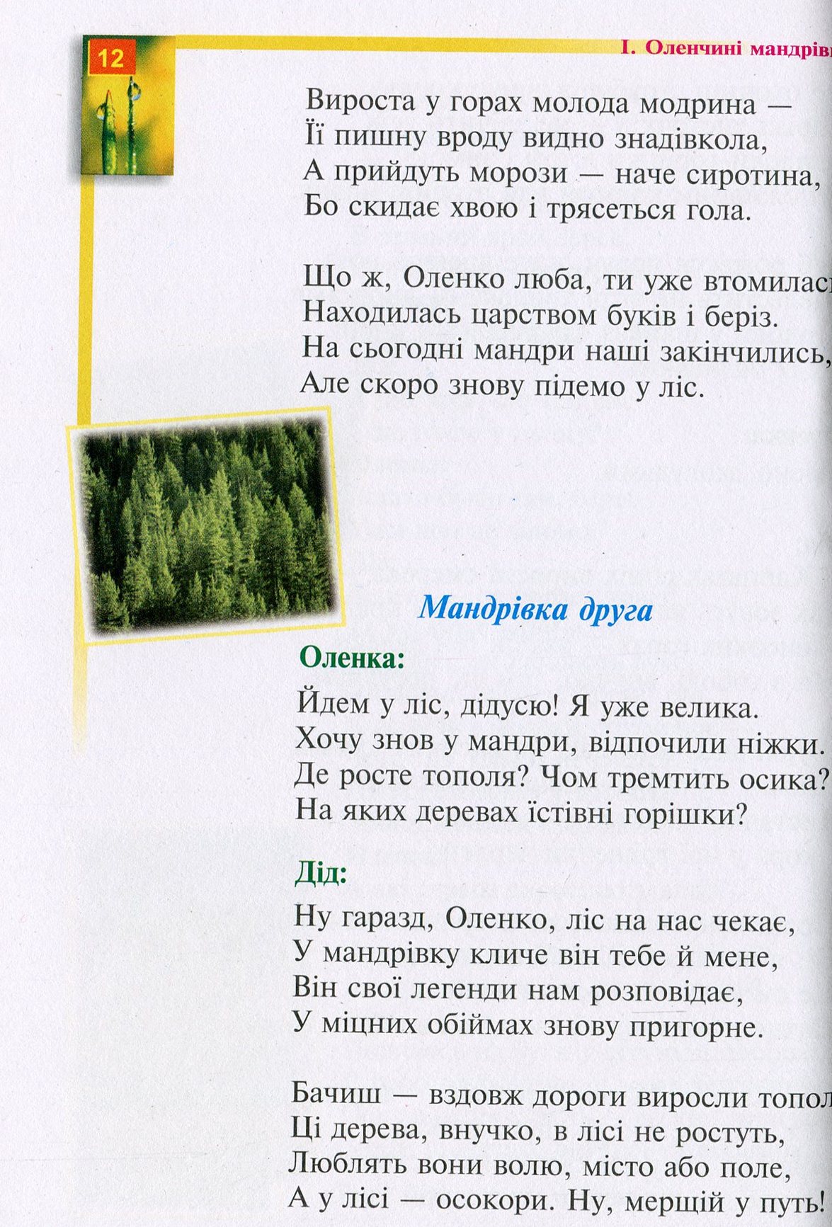 Оленчина ботаніка — фото 12