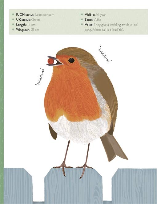 [object Object] «The Bird Book. A curious compendium of 50 wild birds », авторов Мерьель Лланд, Роксанна Фурман - фото №2 - миниатюра