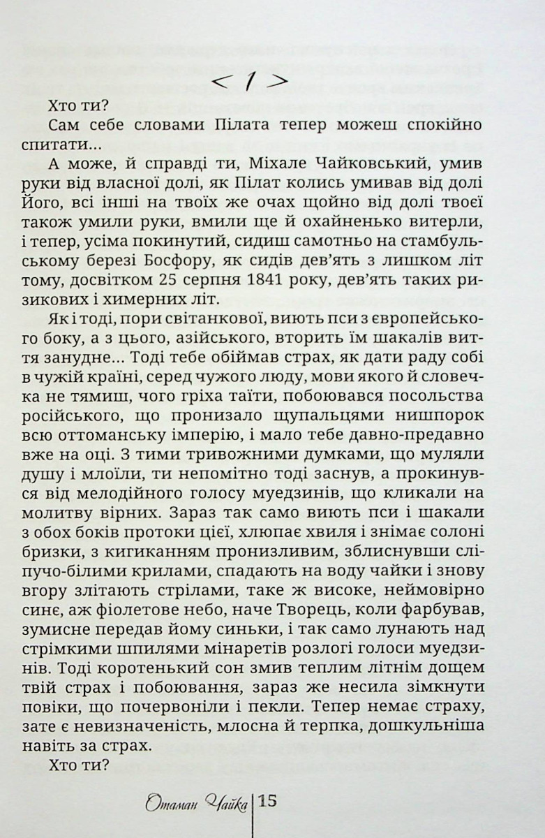 Отаман Чайка. Немиричів ключ — фото 12