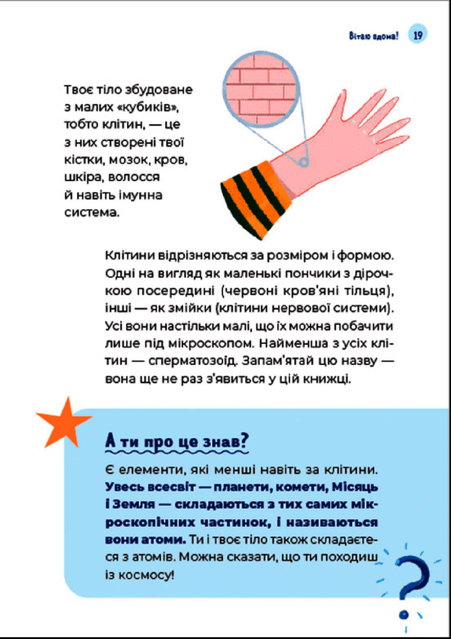 Путівник світом дорослішання для хлопців: зміни в тілі, емоції та бодіпозитив — фото 16