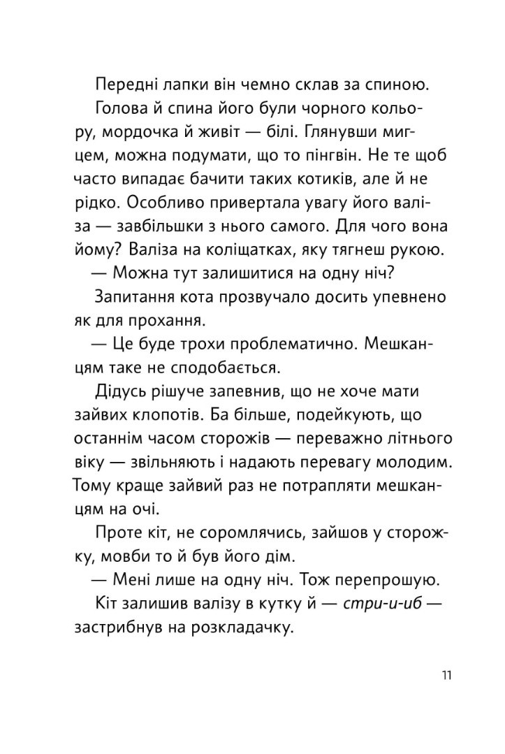 Чорний Кіт-помічник. Дотримуйтеся порядку в резиденції! — фото 10